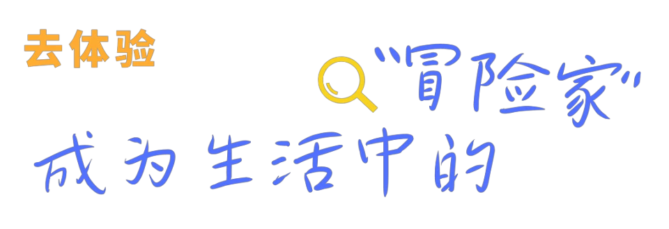 退役篮球运动员的比赛经验分享_2